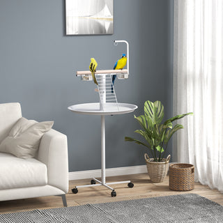 Papegøje Sæde med Stige, Gynge, Foderskåle, 60 x 60 x 138 cm, Hvid + Natur