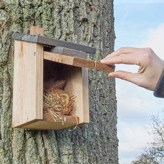Fuglekasse i massiv træ grå-brun