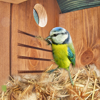 Fuglekasse i massiv træ grøn-brun