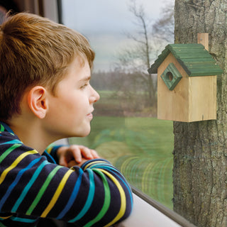 Fuglekasse i massiv træ grøn-brun