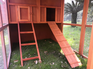 Hønsehus model Emmy med stort udløb