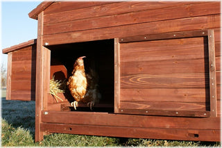 HØNSEHUS MODEL FRILAND