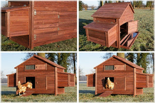 HØNSEHUS MODEL FRILAND