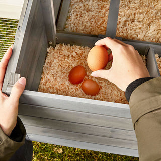 Hønsehus Model Hønse Paradis