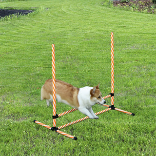 Agility-sæt til hunde, 6-delt agility-udstyrssæt med flettede stænger, fløjte, hundetræningstilbehør med bæretaske, til park, have, orange