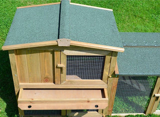 Kaninbur Model Hvidhale