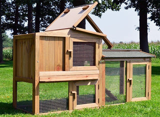 Kaninbur Model Hvidhale