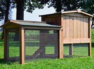 Kaninbur Model Hvidhale