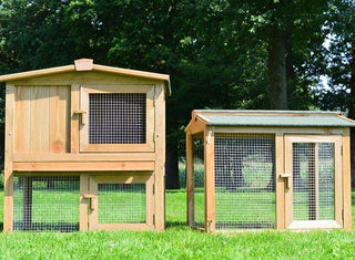 Kaninbur Model Hvidhale