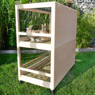 Kaninbur Model Tumle