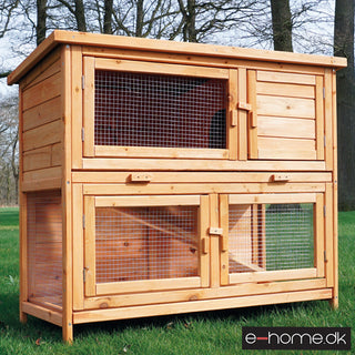 Kaninbur Model Molly