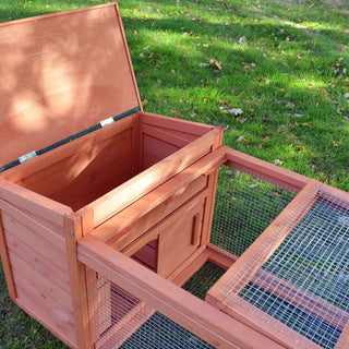 Kaninbur-model Freddy