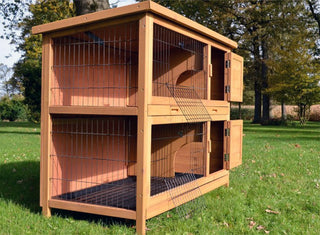 Kaninbur Model Hopsa