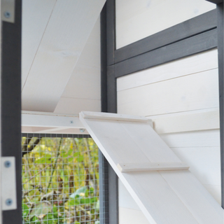 Kaninbur Model Krumme Grå-Hvid