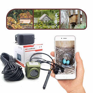Trådløs Wifi Fuglekasse Kamera Audio IR Night Vision
