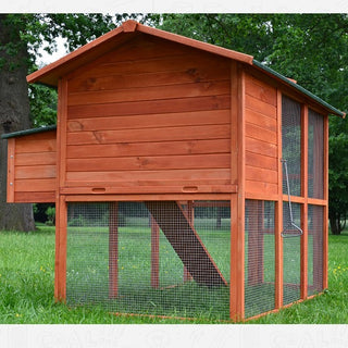 HØNSEHUS MODEL PREMIUM XXL