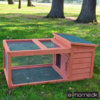 Kaninbur-model Freddy