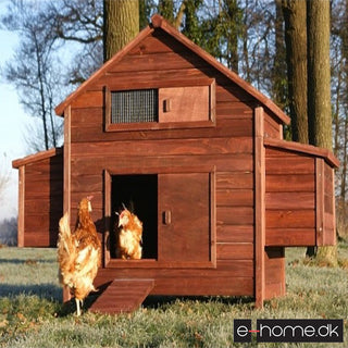 HØNSEHUS MODEL FRILAND