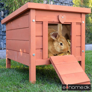 Kaninbur model Minihus