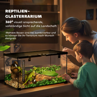 Terrarium til Krybdyr Krybdyrfoderkasse Glasterrarium Padder Spindlere med Termometer Krybdyravlskasse 50 x 30 x 25 cm